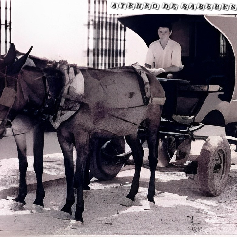 Blas Pérez ´Pitera´- Cochero de diligencia (videopódcast) (Valencia del Ventoso)